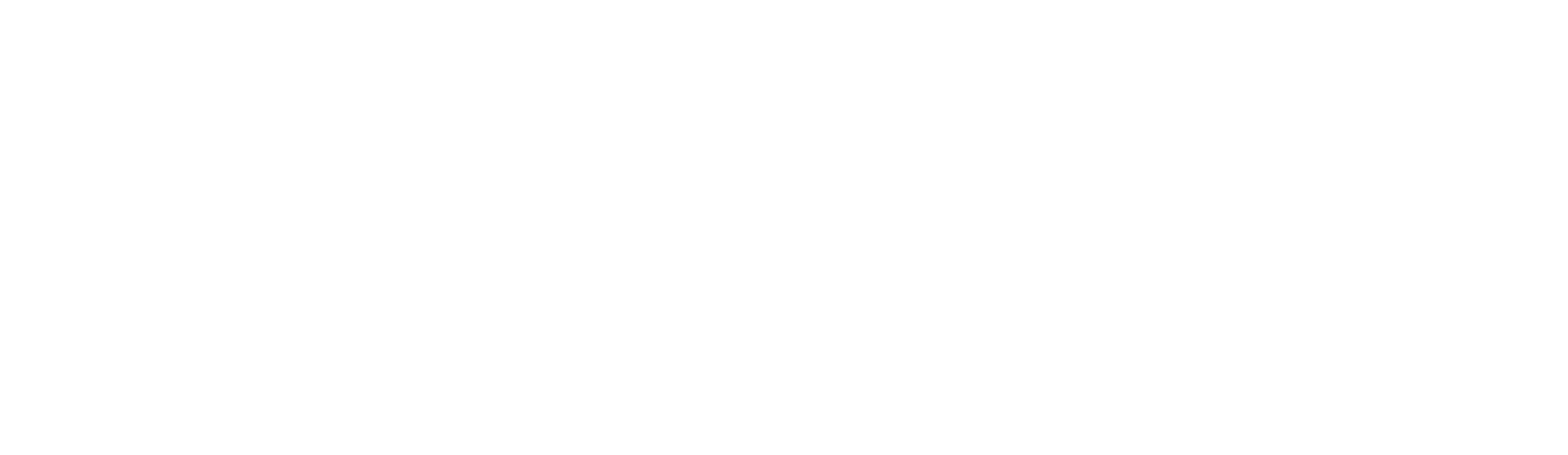 Pither Plumbing logo